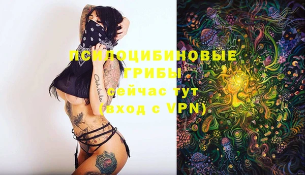 сатива Белокуриха