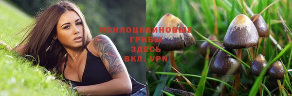 сатива Белокуриха