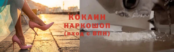 сатива Белокуриха