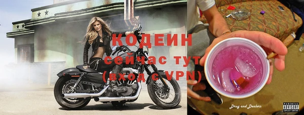 сатива Белокуриха