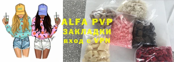 сатива Белокуриха