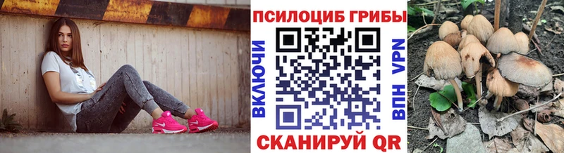 цена наркотик  Болохово  Псилоцибиновые грибы мухоморы 