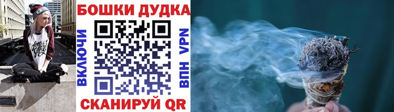 как найти   Болохово  Бошки марихуана гибрид 